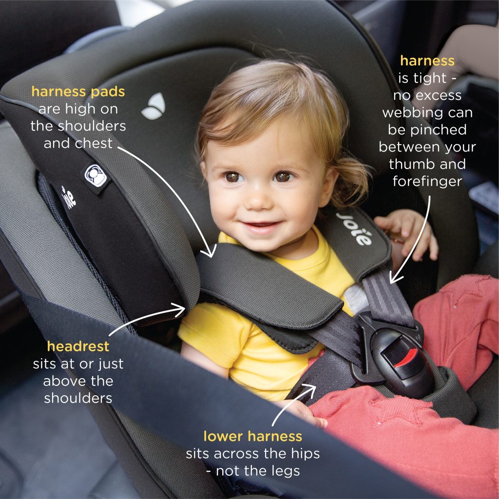 275563217 5461816973850720 3265862567945251395 n